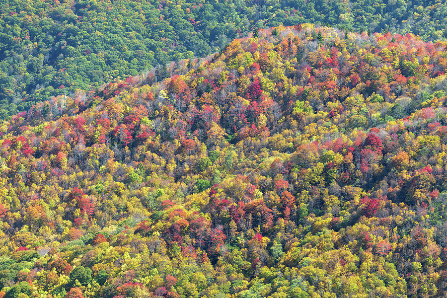 Colorful Ridges Photograph by David R Robinson - Fine Art America