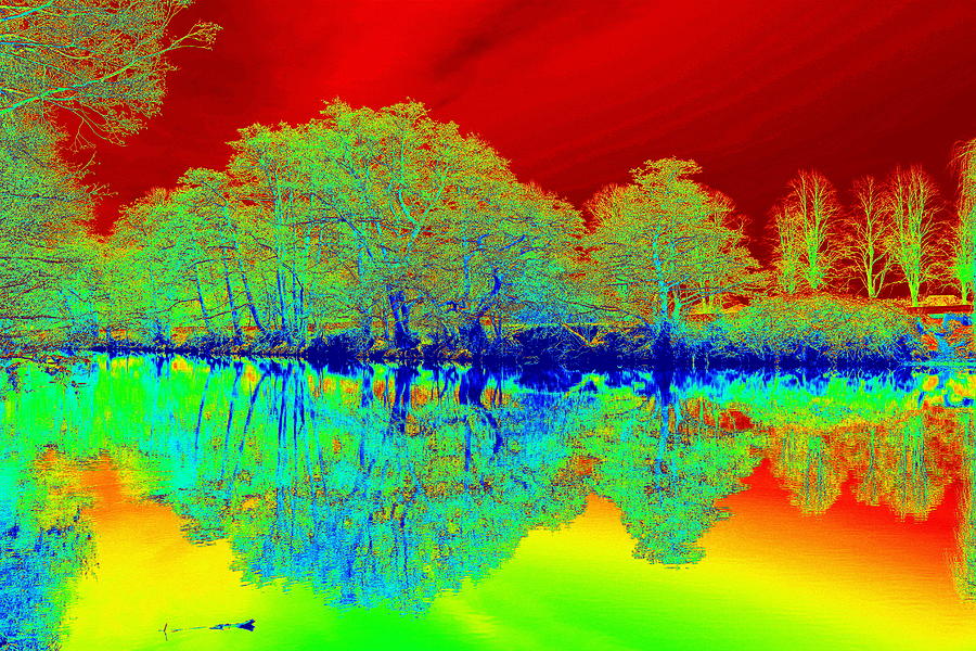 Multicolor tree reflections digital art photo Digital Art by Geoff Ford ...