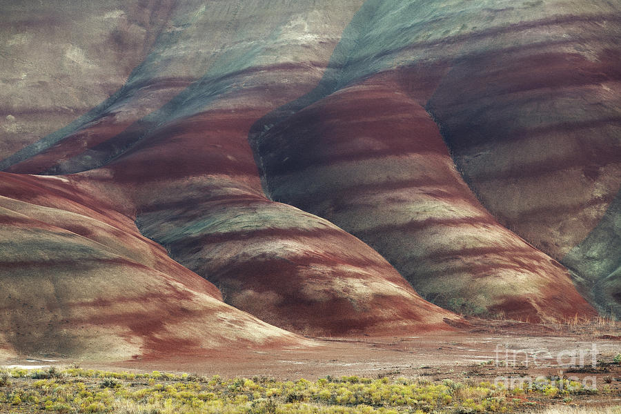 Colorful Rocks at Painted Hills in Central Oregon Photograph by Tom Schwabel