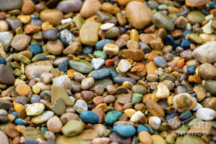 Colorful Rocks On The Shore Photograph