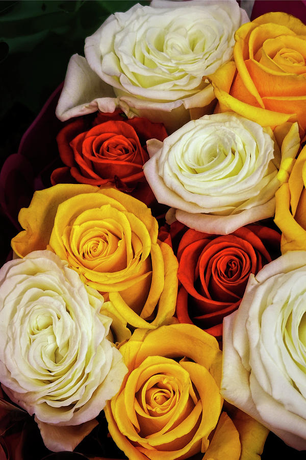 Colorful Rose Bouquet photograph Photograph by Ann Powell
