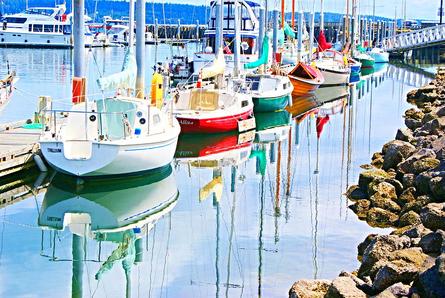 Colorful Sailboats Photograph by Bill TALICH