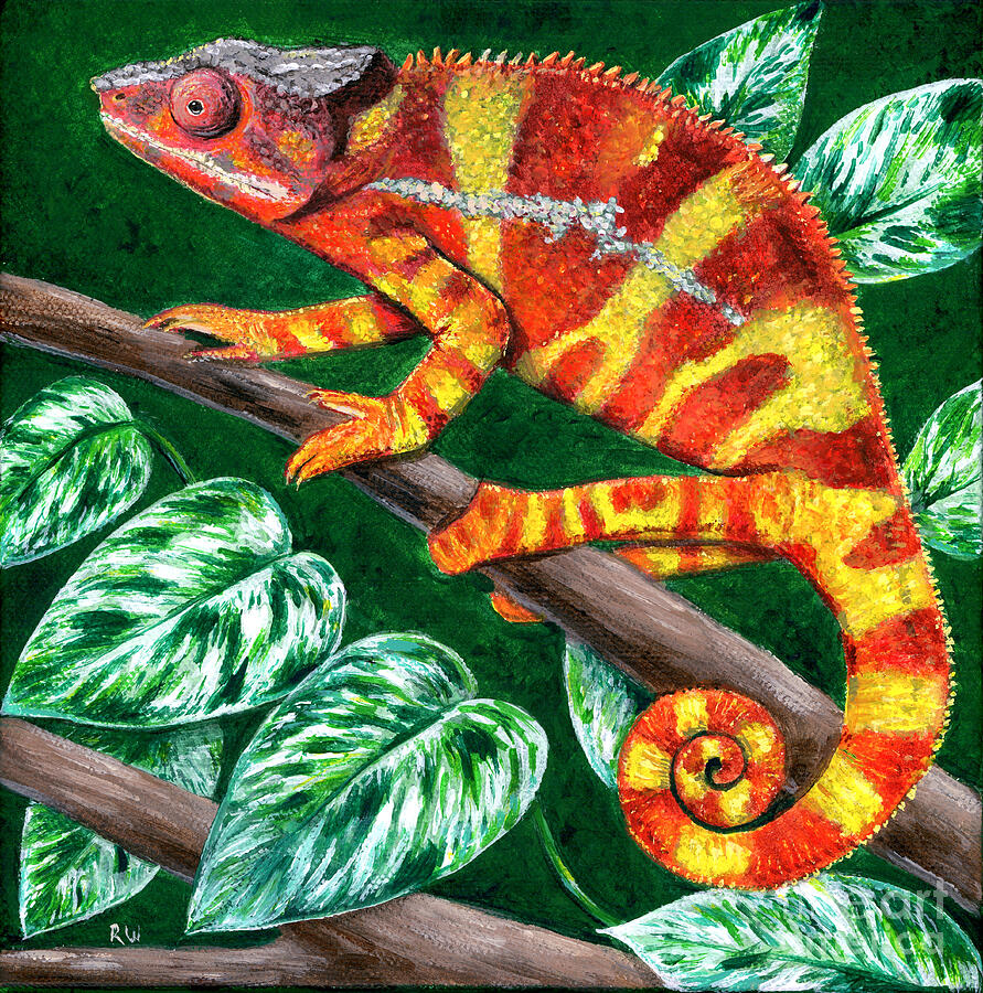 Colorful Sambava Panther Chameleon Painting by Rebecca Wang Colorful Sambava Panther Chameleon Painting by Rebecca Wang
