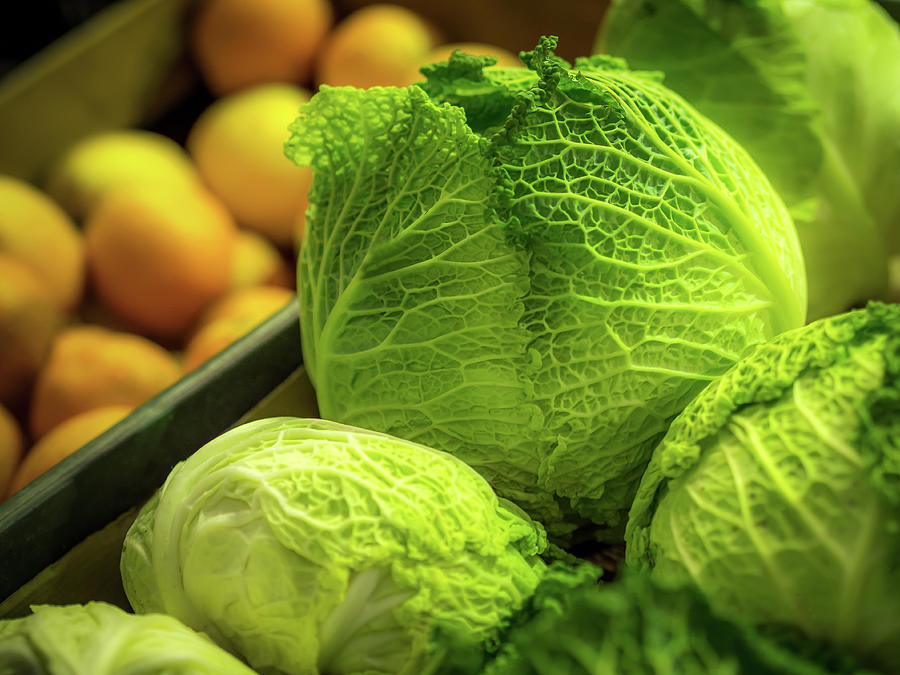 Colorful Savoy Cabbage Photograph by Luis Vasconcelos