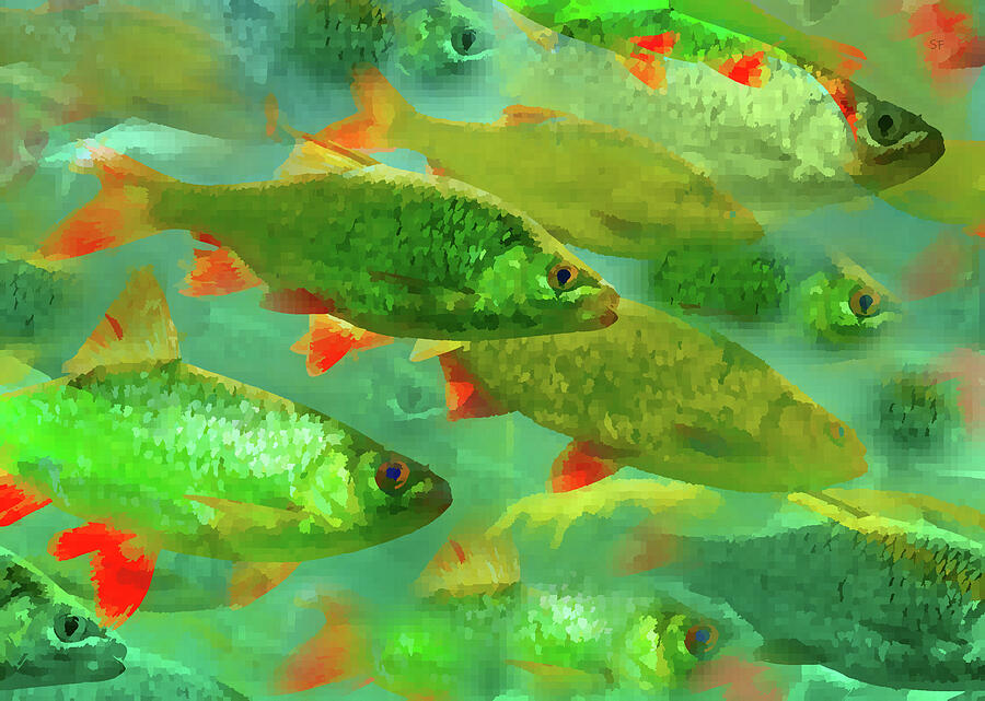 Colorful School of Tropical Fish  Digital Art by Shelli Fitzpatrick