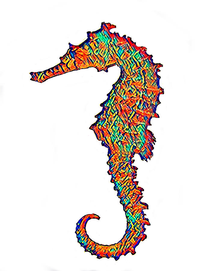 Colorful Seahorse Digital Art by La Moon Art