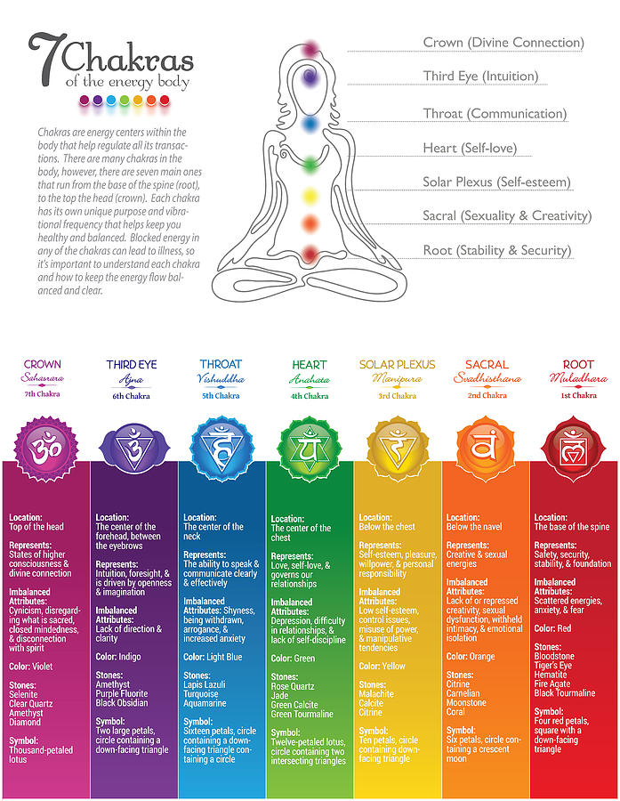 Colorful Seven Chakra Poster Chart - 82 WBG-P Digital Art by Serena King