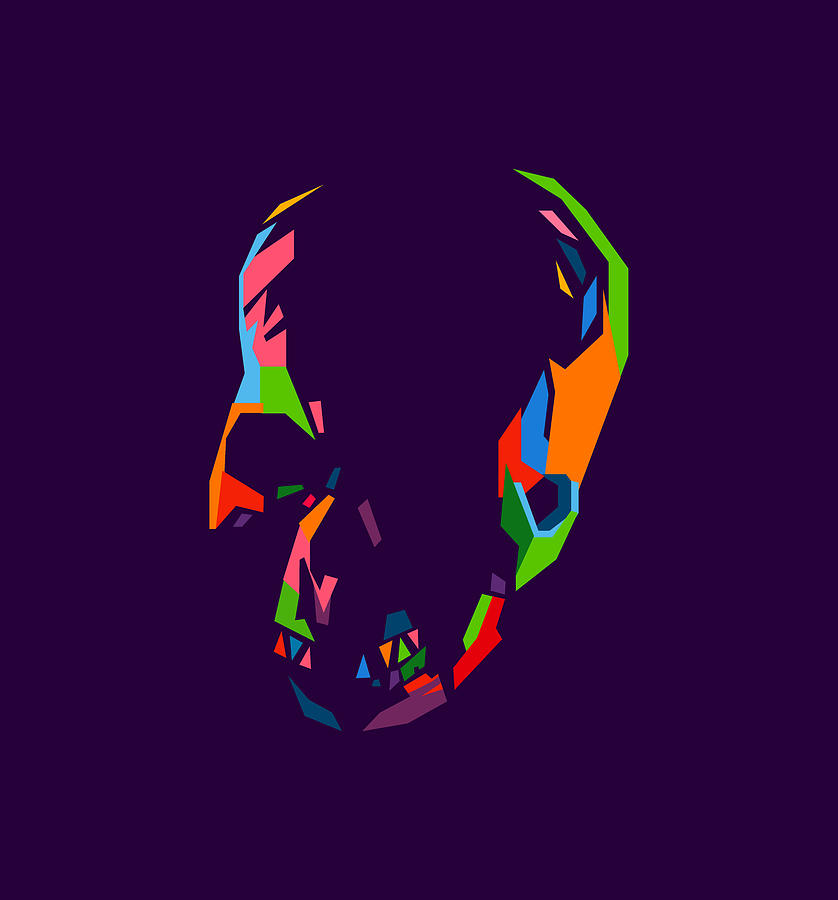 Colorful Skull Wpap Style 8 Digital Art