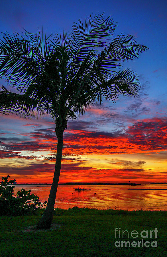 Colorful Sky at Harbor Point Photograph by Tom Claud