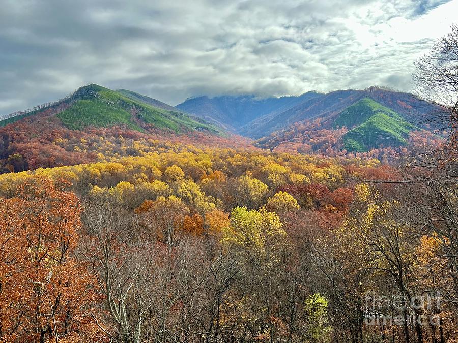 Nature Photograph - Colorful Smoky Mountains by Saving Memories By Making Memories