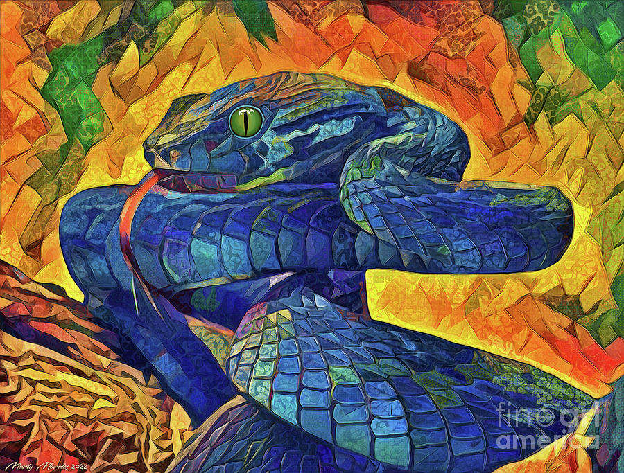 Colorful Snakes V1 Mixed Media by Martys Royal Art