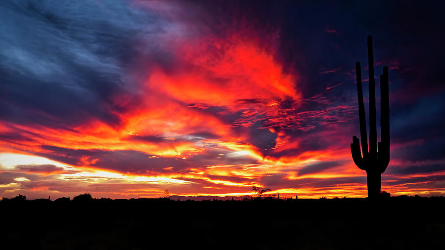 Colorful Sonoran Skys Photograph by Saija Lehtonen | Fine Art America