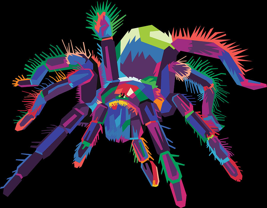 Colorful Spider Pop Art Tarantula Digital Art by Flippin Sweet Gear