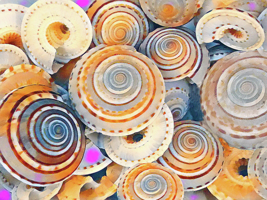 Colorful Spiral Seashells Mixed Media by Sharon Williams Eng