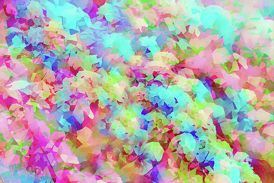 Colorful Spring Abstract Blossoms Digital Art by Gaby Ethington