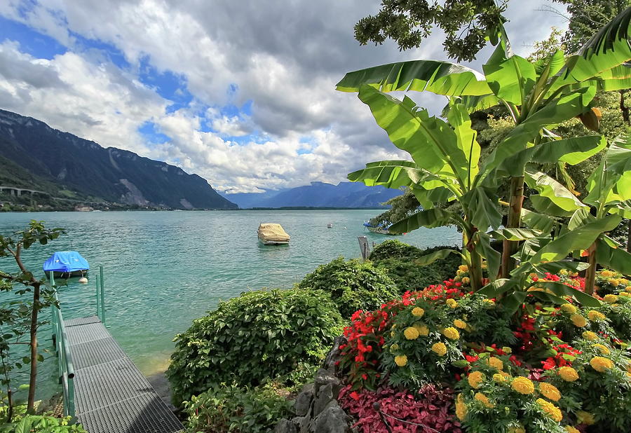 Colorful springtime flowers at Geneva lake and Alps mountains in Photograph by Elenarts - Elena Duvernay photo