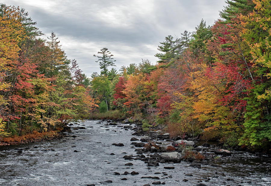 Colorful Stream in New Hampshire Photograph by Scott Miller - Fine Art ...