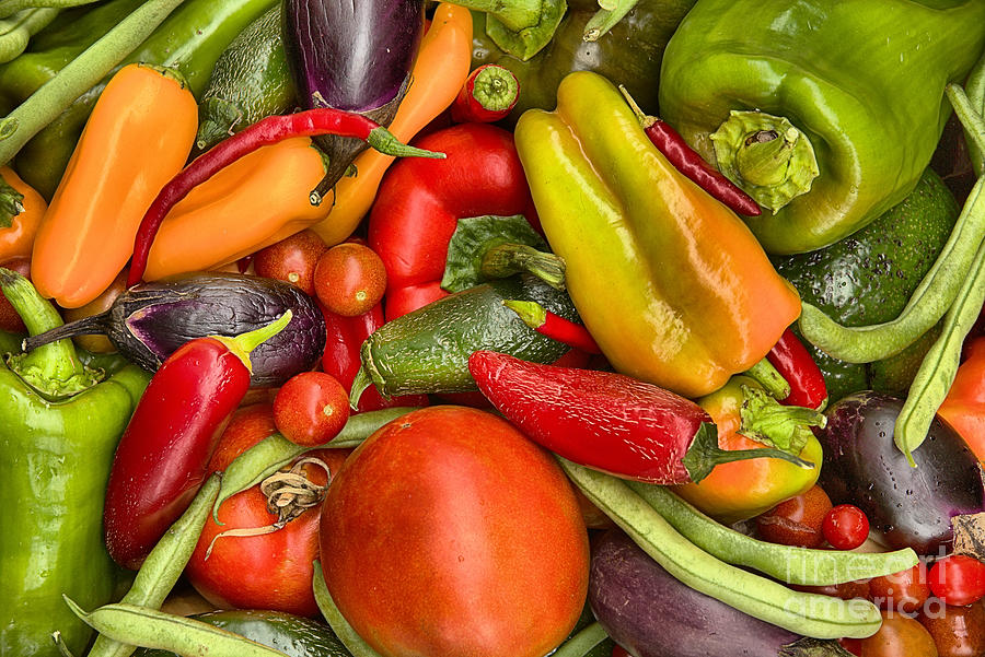 Colorful Summer Veggie Harvest Photograph by Adam Jewell