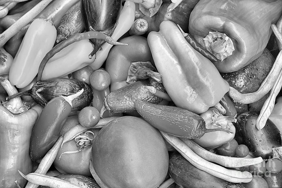 Colorful Summer Veggie Harvest Black And White Photograph by Adam Jewell
