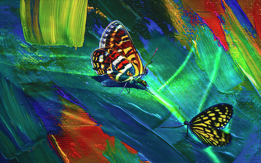Colorful Summertime Butterflies Mixed Media by Pheasant Run Gallery Colorful Summertime Butterflies Mixed Media by Pheasant Run Gallery