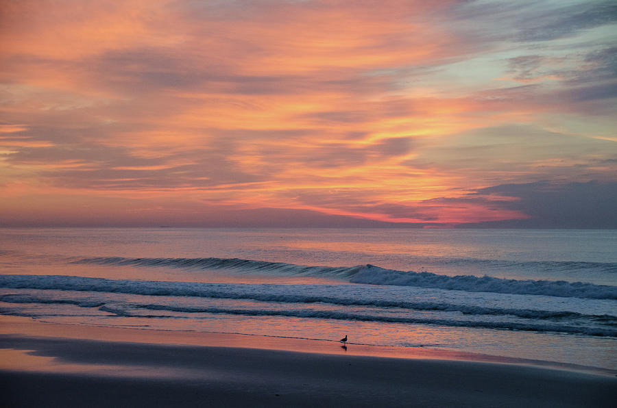 Colorful Sunrise at the Jersey Shore Photograph by Matthew DeGrushe
