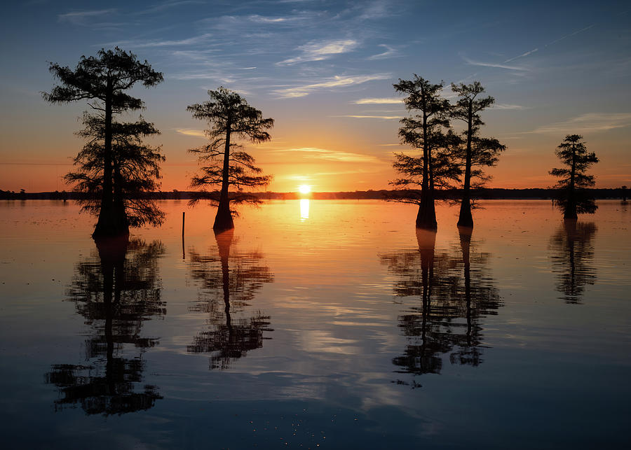 Colorful Sunrise In an East Texas Swamp Photograph by Dean Fikar - Fine ...