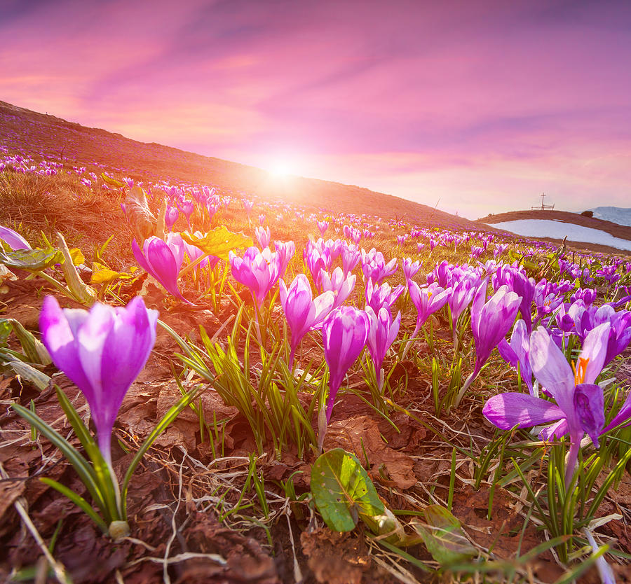 Colorful sunrise in the spring mountains Photograph by Andrew_Mayovskyy