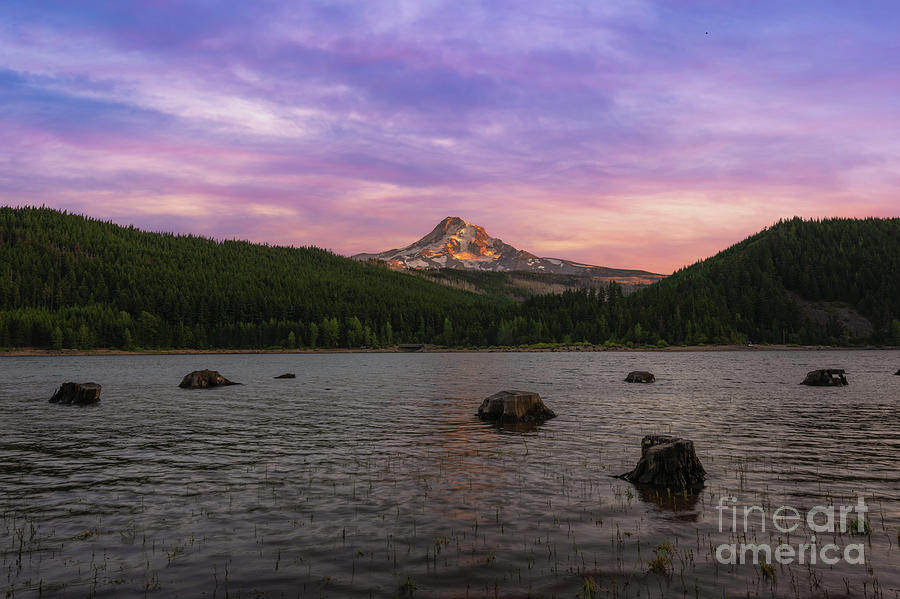 Nature Photograph - Colorful Sunset At Laurance Lake by Michael Ver Sprill