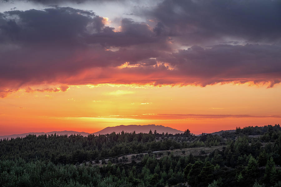 Colorful Sunset over a Pine Tree Forest Photograph by Alexios Ntounas