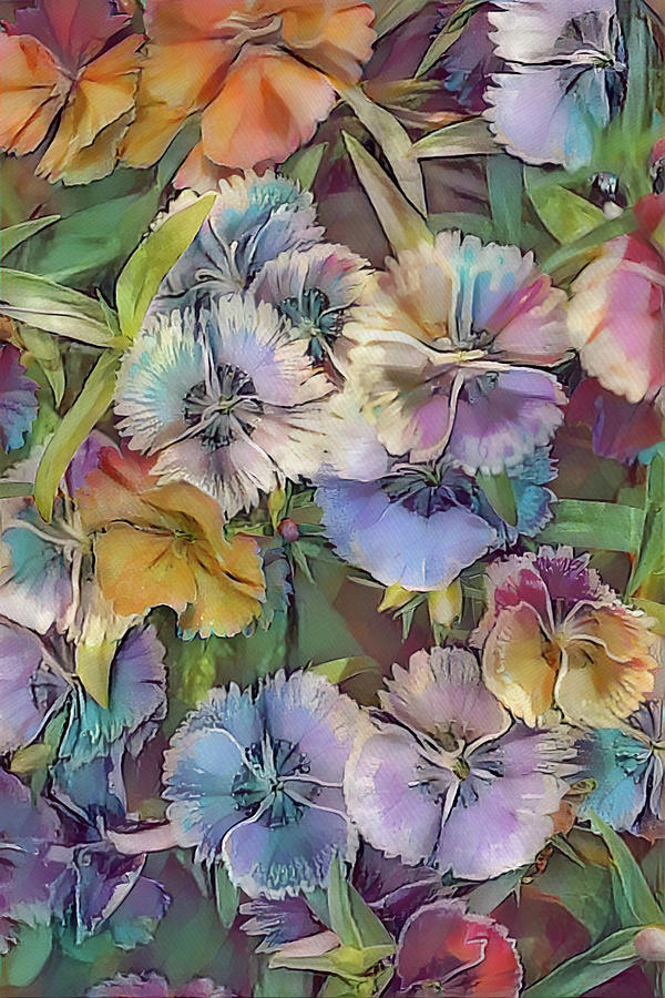 Colorful Sweet William Flowers  Digital Art by Gaby Ethington