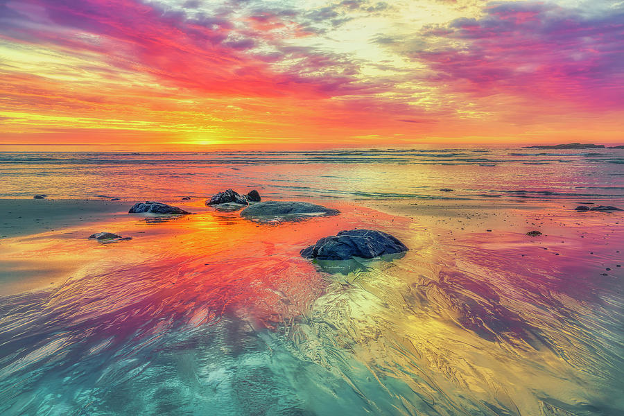 Colorful Symphony Photograph by Penny Polakoff