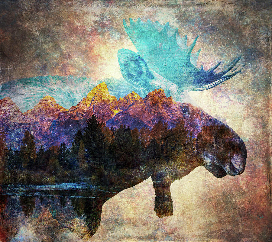 Colorful Teton Moose Composite Mixed Media by Dan Sproul