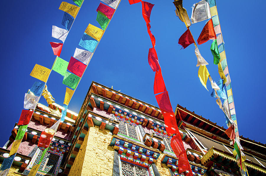 Colorful Tibetan prayer flags spreading good fortune Photograph by Adelaide Lin