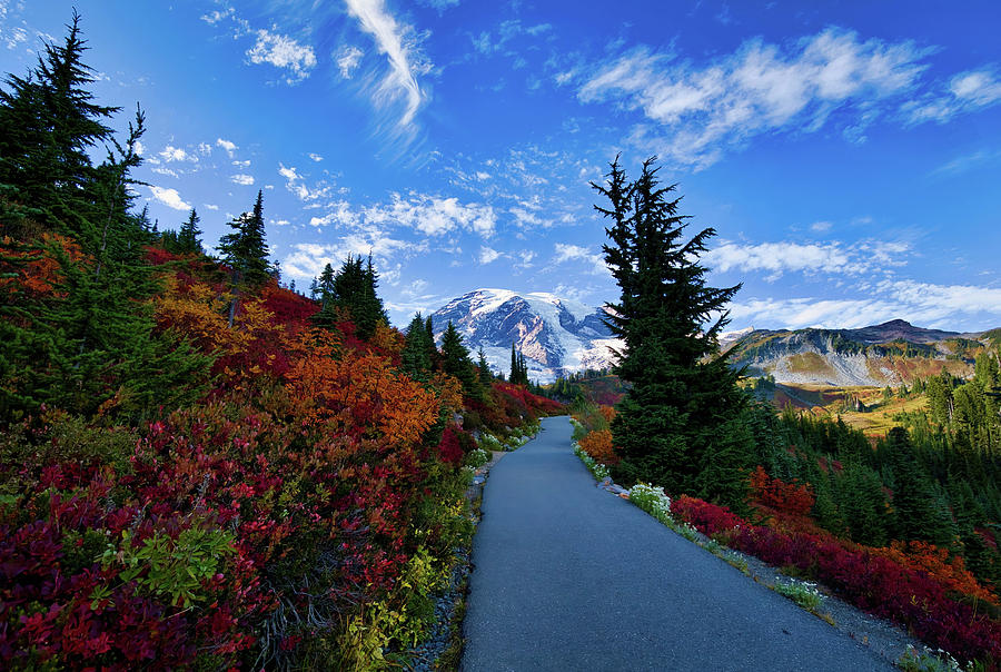 Colorful trail at Mount Rainier Photograph by Lynn Hopwood