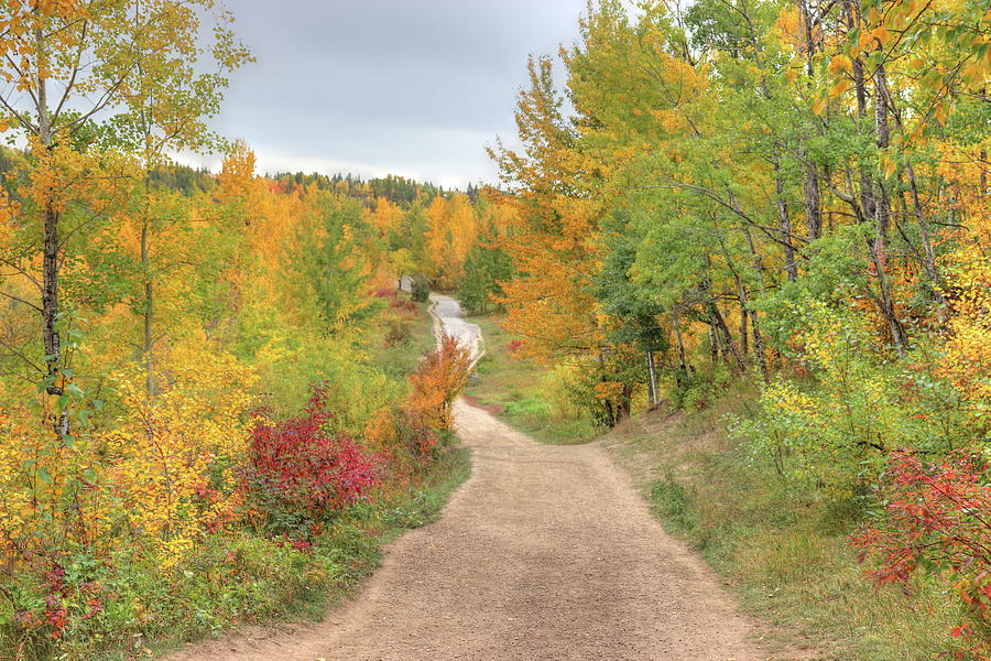 Colorful Trail Photograph by Jim Sauchyn