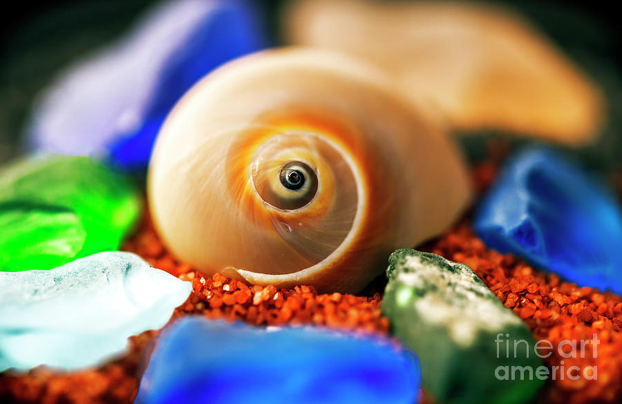Colorful Treasures Photograph by John Rizzuto
