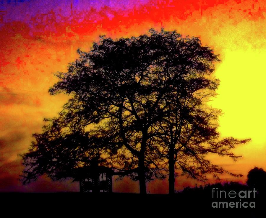 Colorful Tree and Gazebo Silhouette Abstract Photograph by Rose Santuci-Sofranko