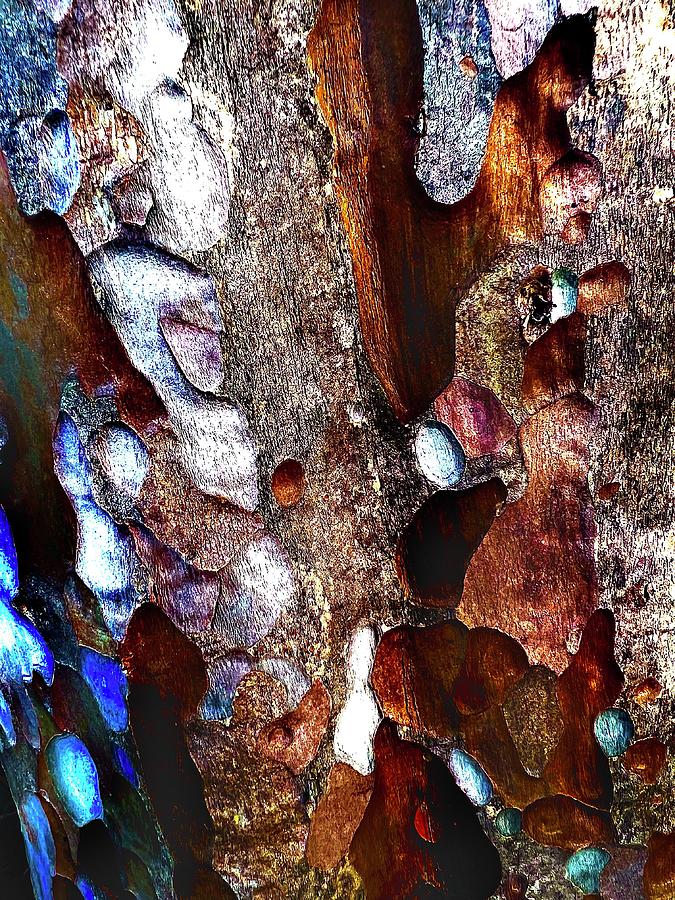 Colorful Tree Bark Photograph