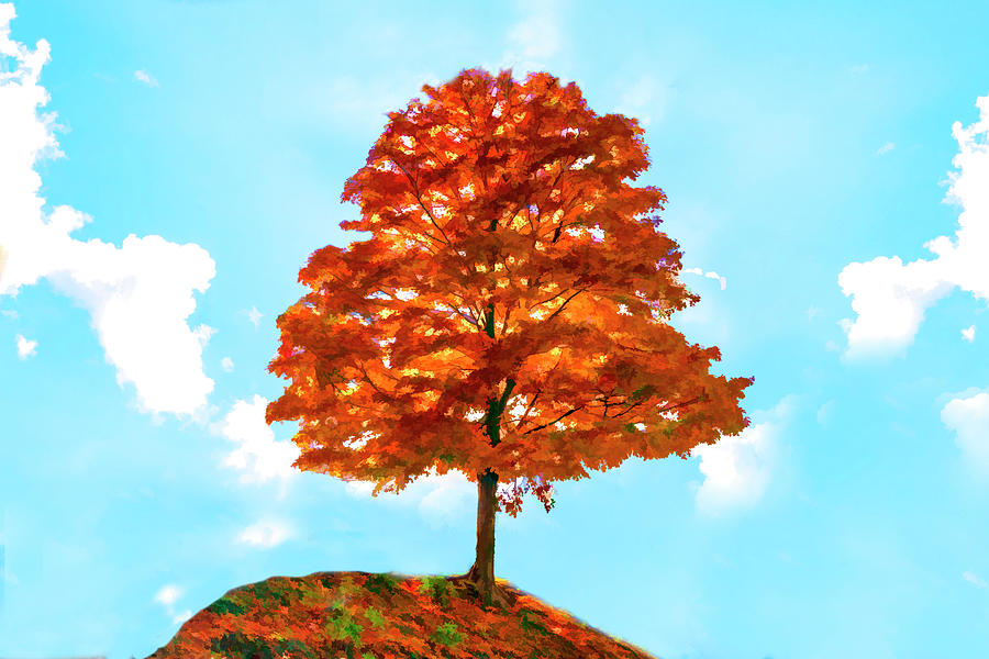 Colorful tree on hilltop     Paintography Photograph by Dan Friend