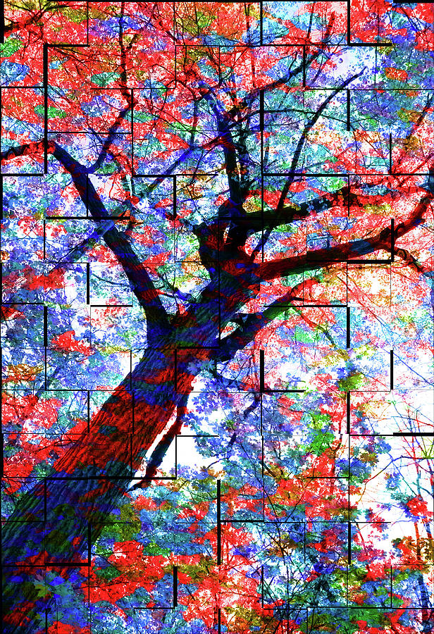 Colorful Tree Panels Mixed Media by Dan Sproul