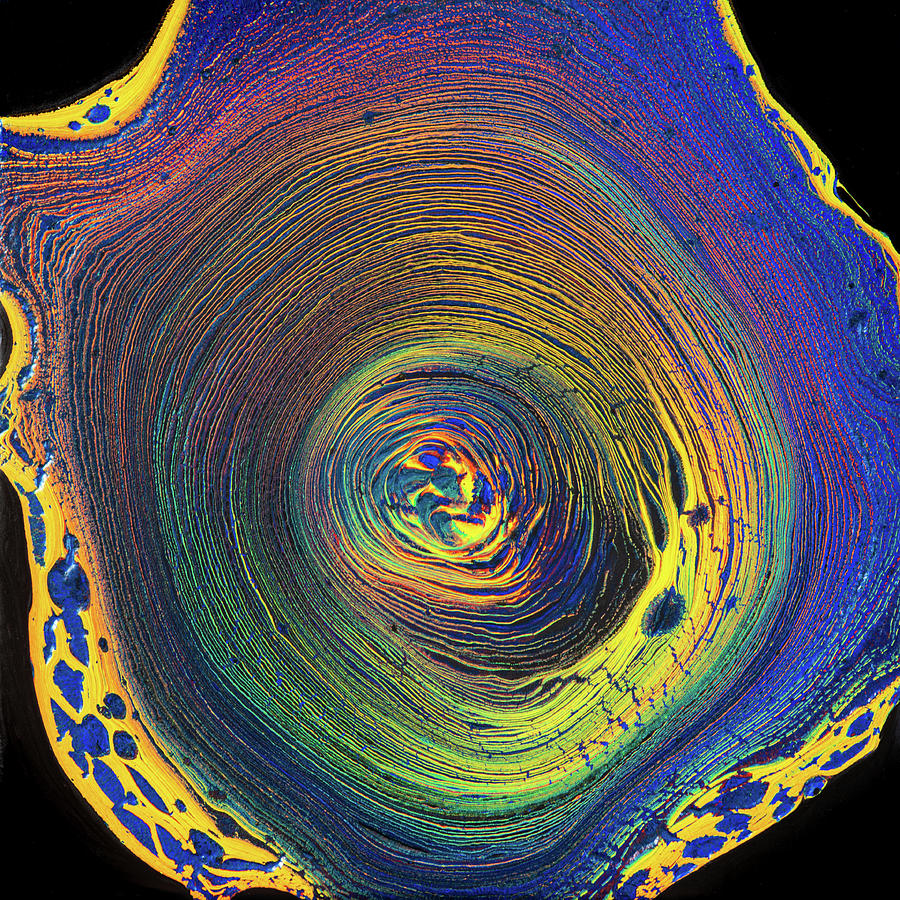 Colorful Tree Ring Pour Acrylic Pouring Fluid Painting Painting by Matthias Hauser