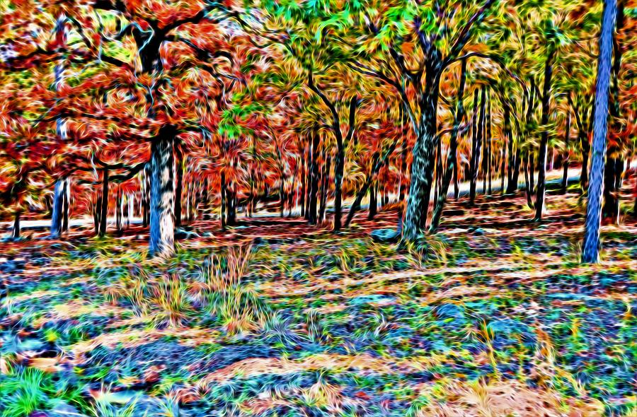 Colorful Trees 6 Photograph by Kristalin Davis