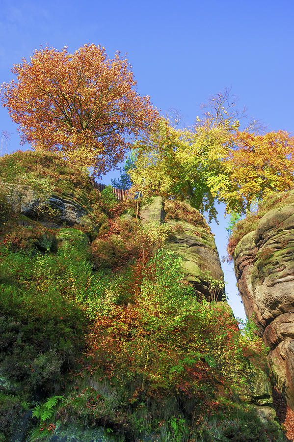Colorful trees in the Elbe Sandstone Mountains Photograph by Sun Travels