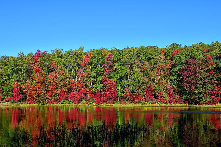 Colorful trees lining lake in the Fall Photograph by Dan Friend