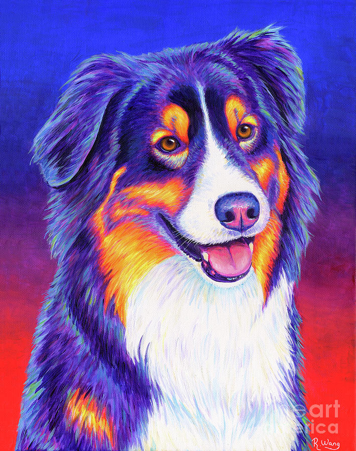 Colorful Tricolor Australian Shepherd Painting by Rebecca Wang