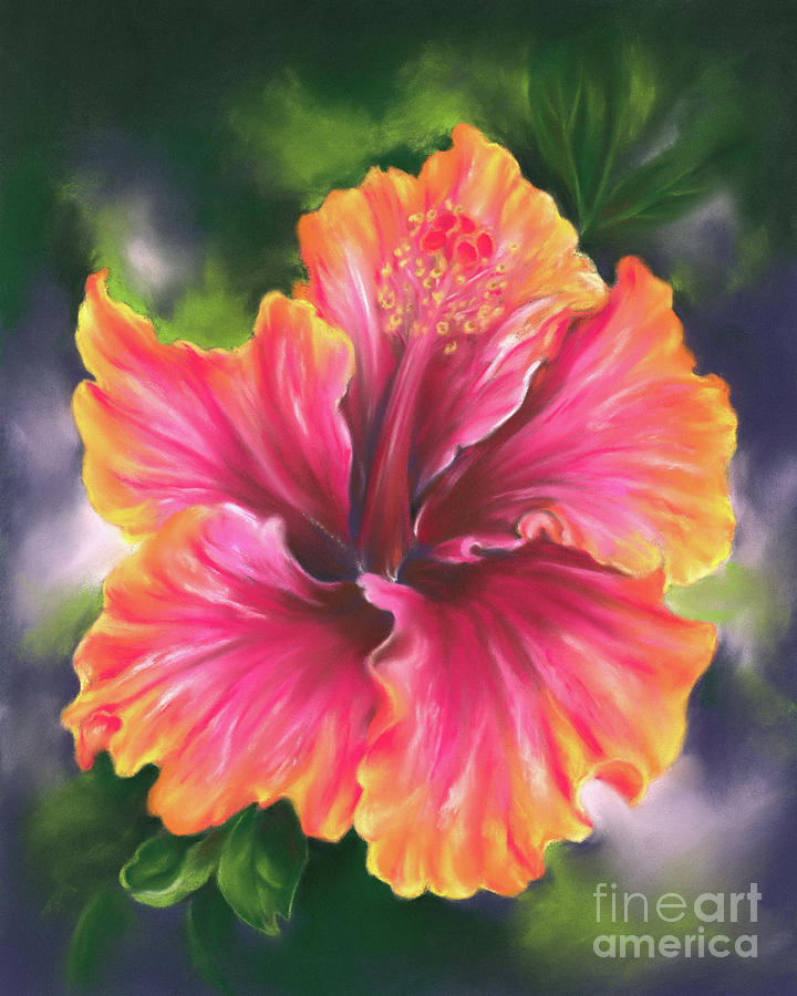 Colorful Tropical Hibiscus Flower Painting by MM Anderson