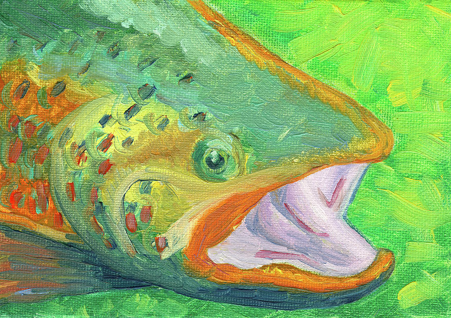Colorful Trout  Painting by Deborah League