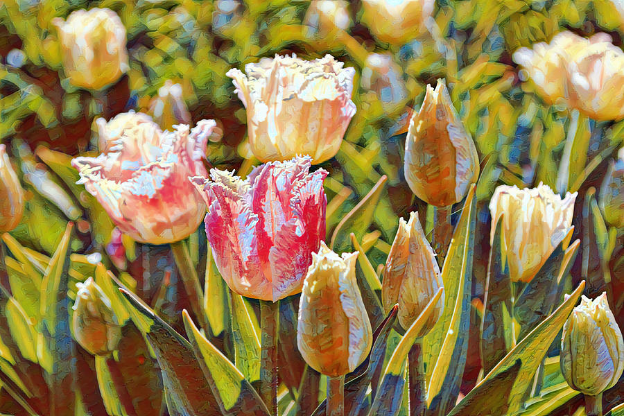 Colorful Tulip Field Textured and Rustic Digital Art by Gaby Ethington ...