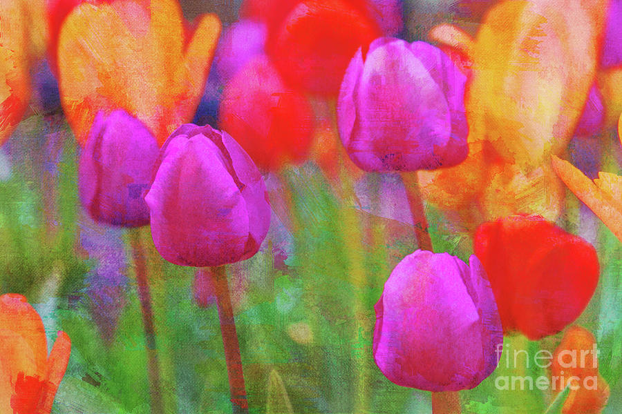 Colorful Tulips Digital Art by Jayne Carney