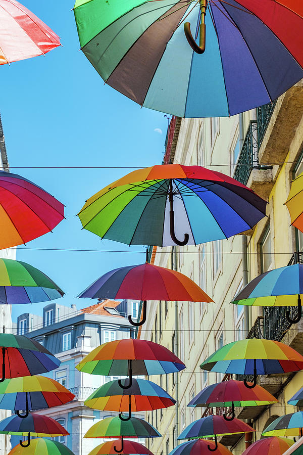 Colorful Umbrellas Photograph by Carlos Caetano